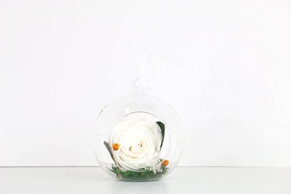 Hanging Vase with Single Forever Rose - Image 5