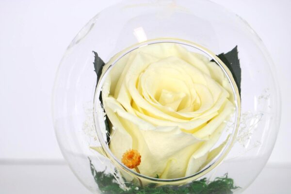 Hanging Vase with Single Forever Rose - Image 3