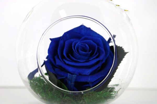 Hanging Vase with Single Forever Rose - Image 2