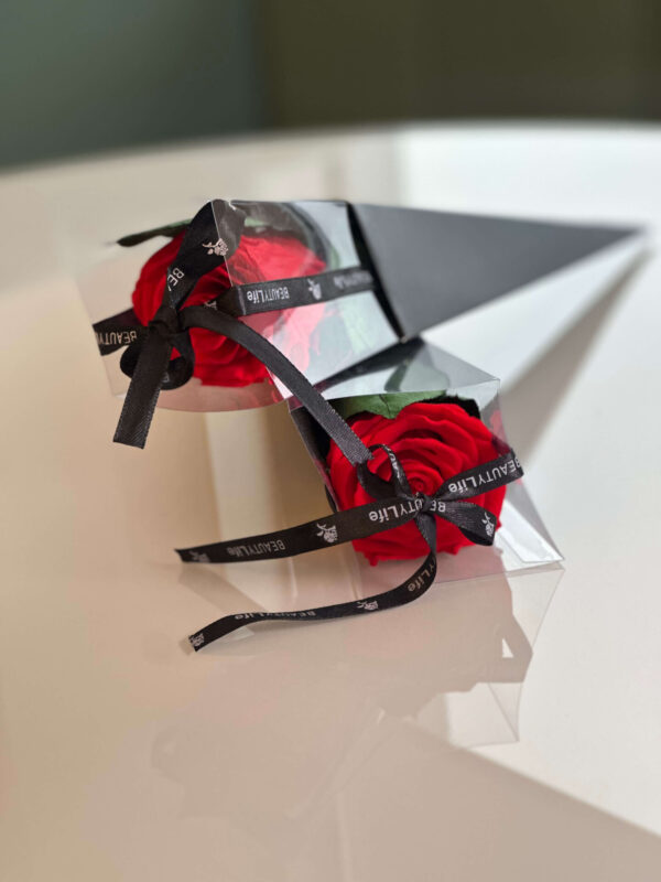 Scarlet Midnight Rose - Image 11