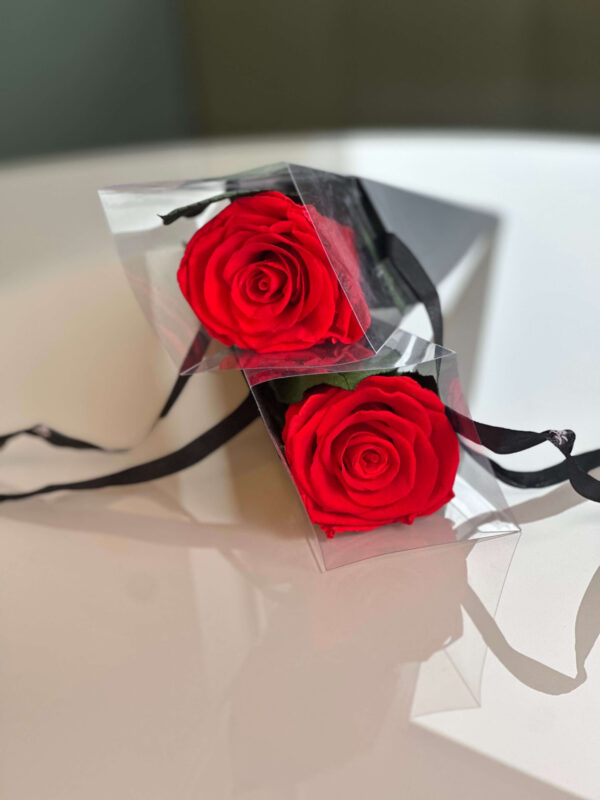 Scarlet Midnight Rose - Image 12