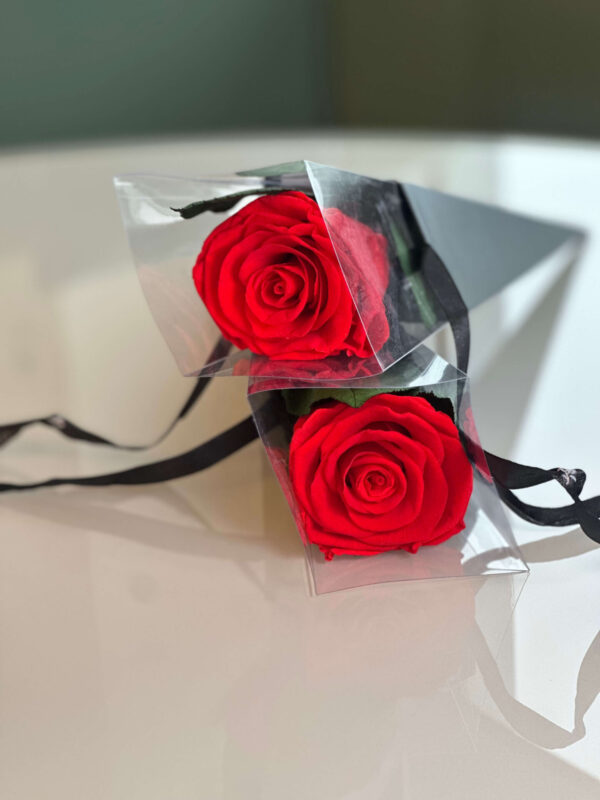 Scarlet Midnight Rose - Image 3