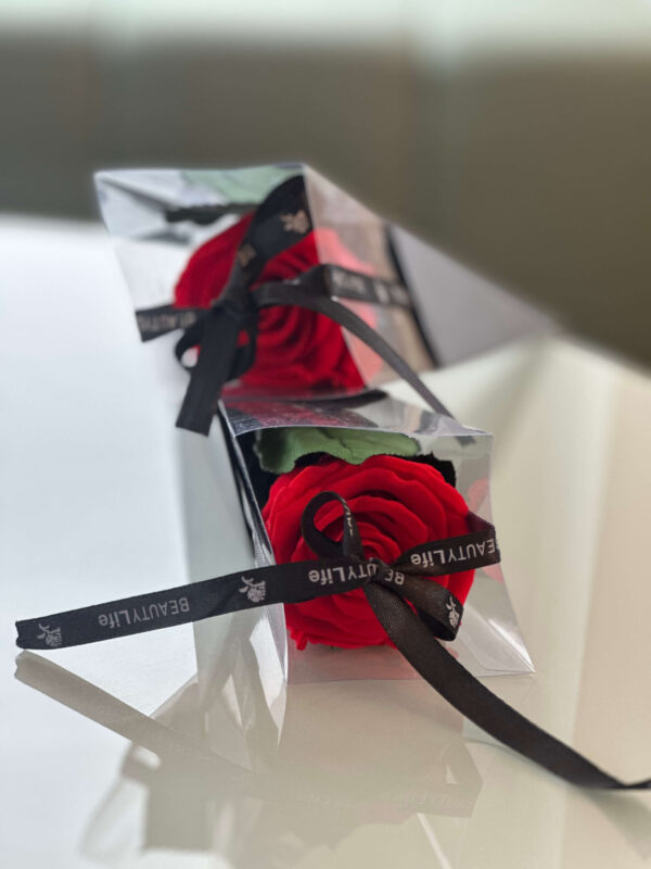 Scarlet Midnight Rose - Image 4