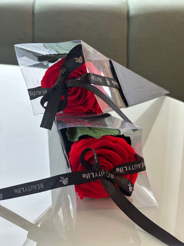 Scarlet Midnight Rose - Image 6