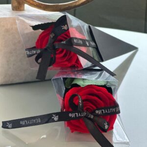 Scarlet Midnight Rose